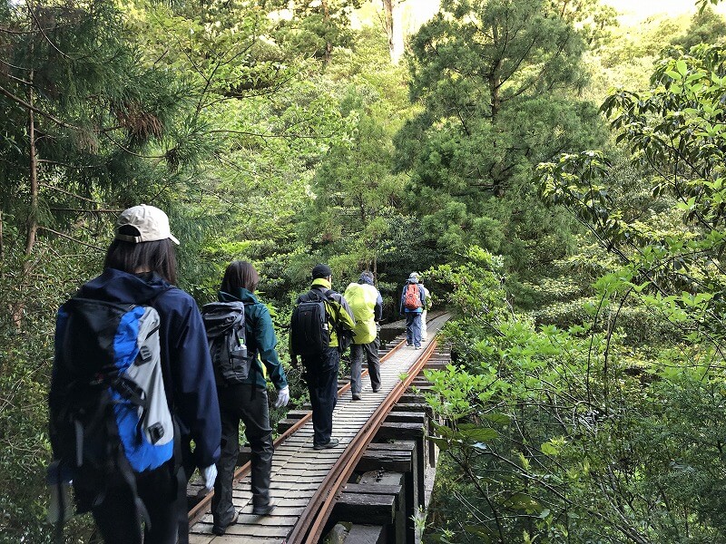 两天半玩遍屋久岛 探访自然遗产，感受大自然魅力