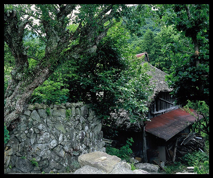 写真芦川 淳朴乡风