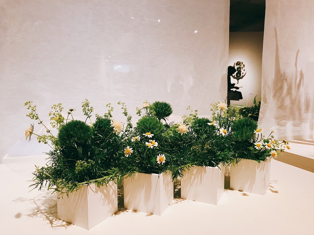 日本花艺展上的诗与技，美与男