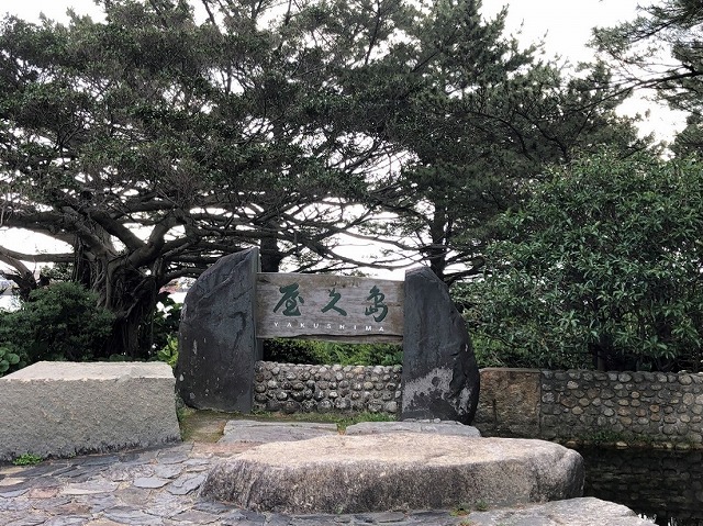 两天半玩遍屋久岛(完)探访幽灵公主拯救的那片森林——白谷云水峡