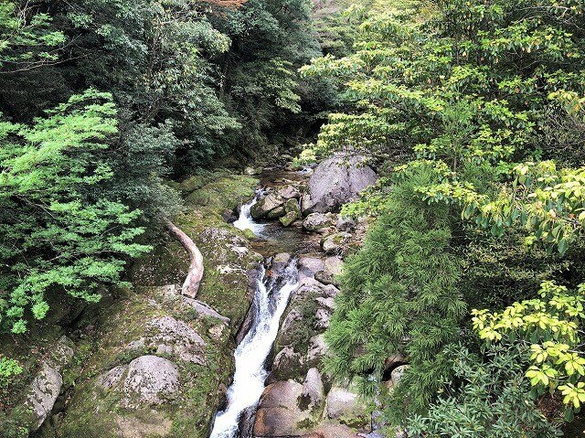 两天半玩遍屋久岛（完）探访幽灵公主拯救的那片森林——白谷云水峡