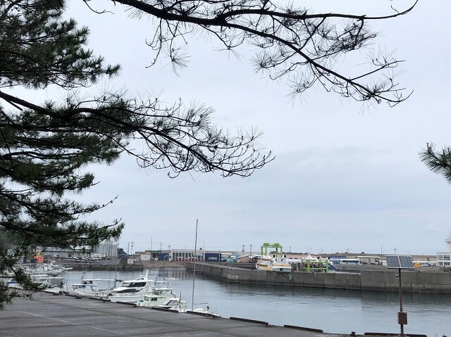 两天半玩遍屋久岛(完)探访幽灵公主拯救的那片森林——白谷云水峡