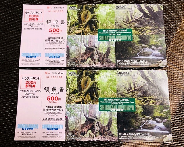 两天半玩遍屋久岛(完)探访幽灵公主拯救的那片森林——白谷云水峡