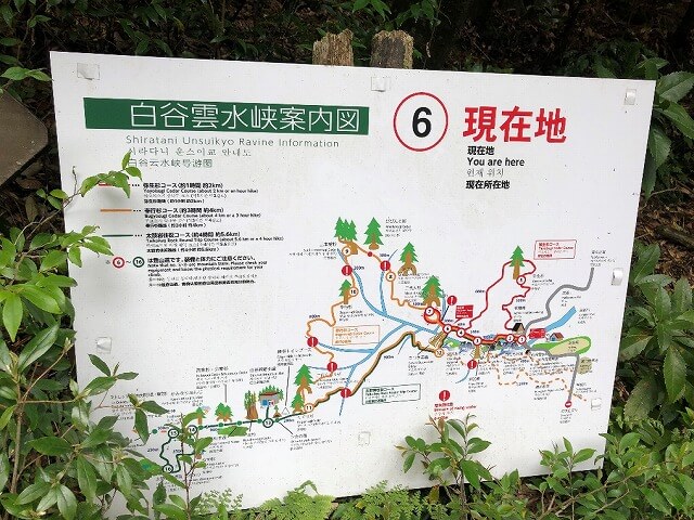 两天半玩遍屋久岛(完)探访幽灵公主拯救的那片森林——白谷云水峡