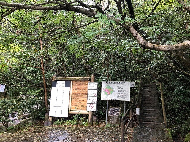 两天半玩遍屋久岛(完)探访幽灵公主拯救的那片森林——白谷云水峡
