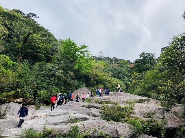 两天半玩遍屋久岛(完)探访幽灵公主拯救的那片森林——白谷云水峡