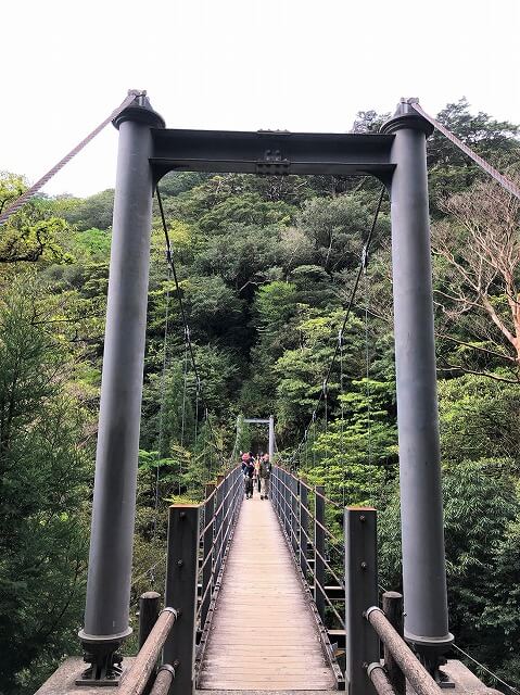两天半玩遍屋久岛(完)探访幽灵公主拯救的那片森林——白谷云水峡