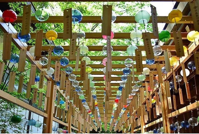 川越冰川神社结缘风铃节，2000个风铃奏响夏日音符