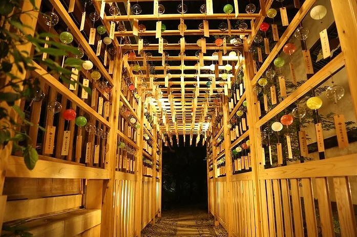 川越冰川神社结缘风铃节,2000个风铃奏响夏日音符