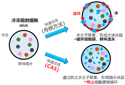 探索激活地区活力的科技之旅