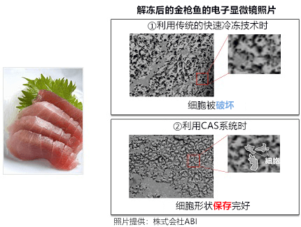 探索激活地区活力的科技之旅