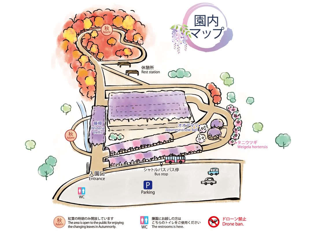 游走在九州 梦幻藤园与门司港篇