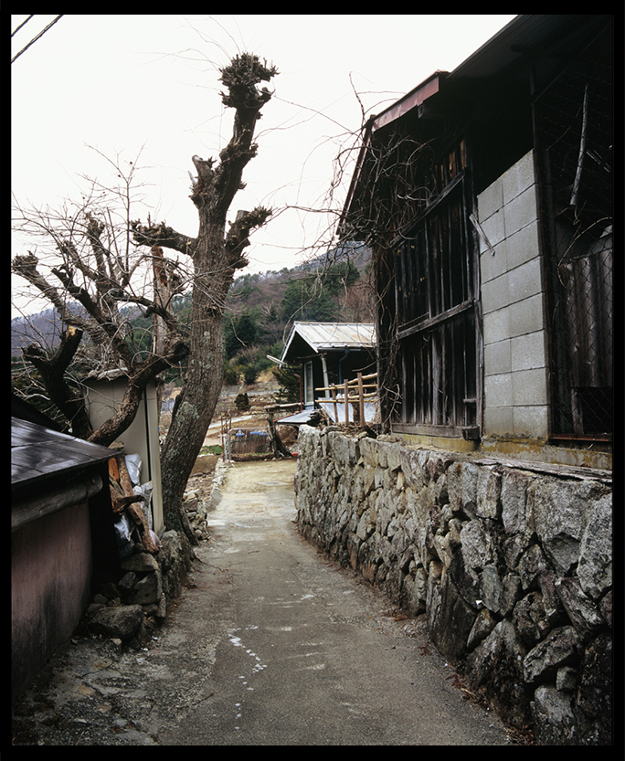 写真芦川 生生不息