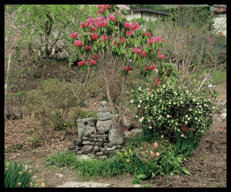 写真芦川 生生不息