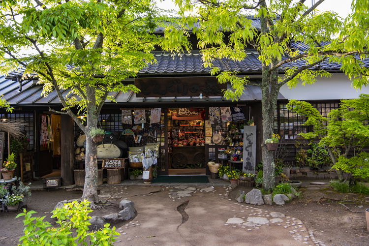 最美 地狱 与温泉小镇由府院篇