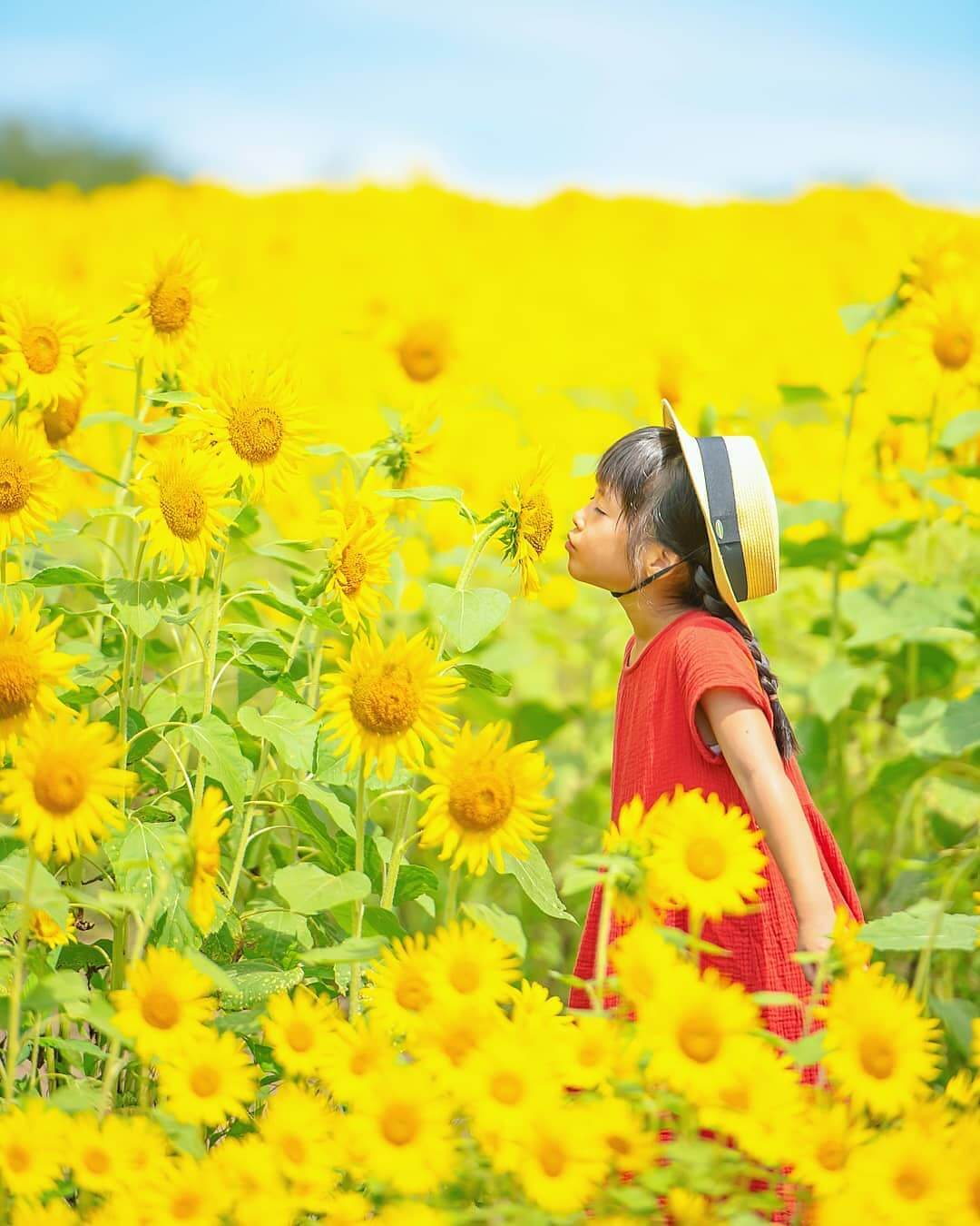 红衣少女与向日葵