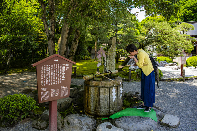 游走在九州 一个熊火了一座城 熊本篇