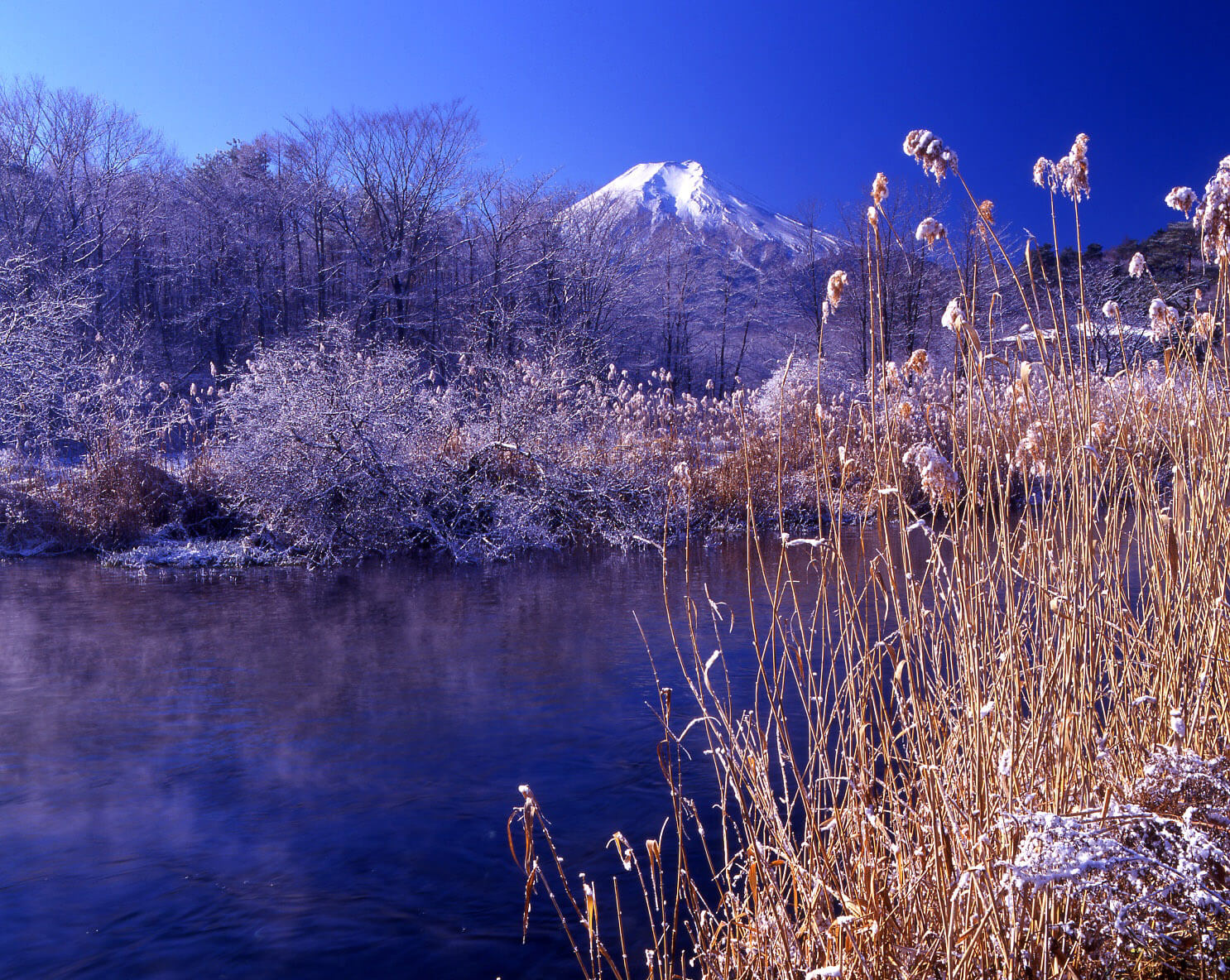 千姿百态富士山