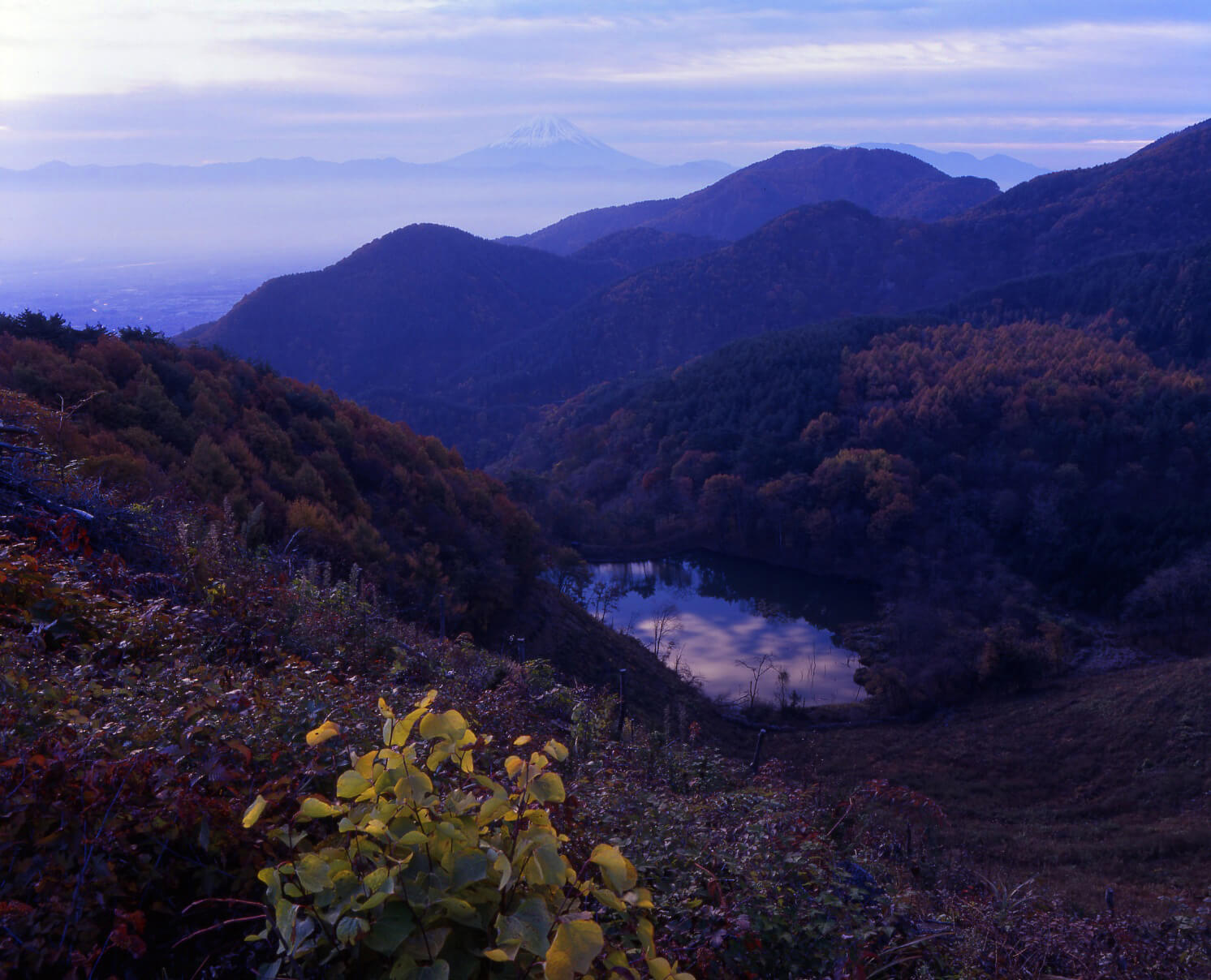 千姿百态富士山