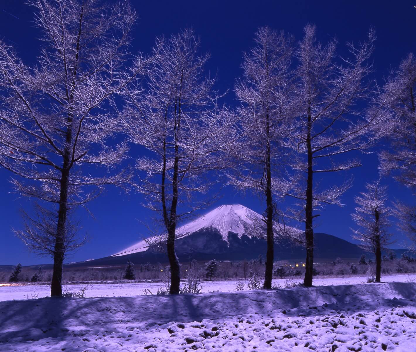 千姿百态富士山