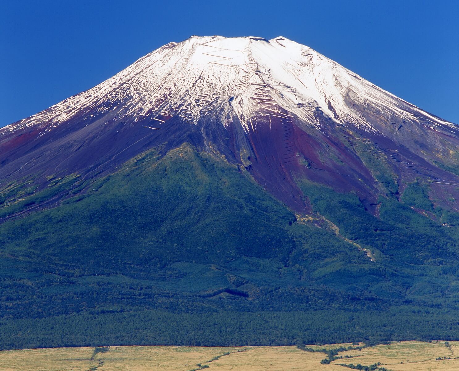 千姿百态富士山