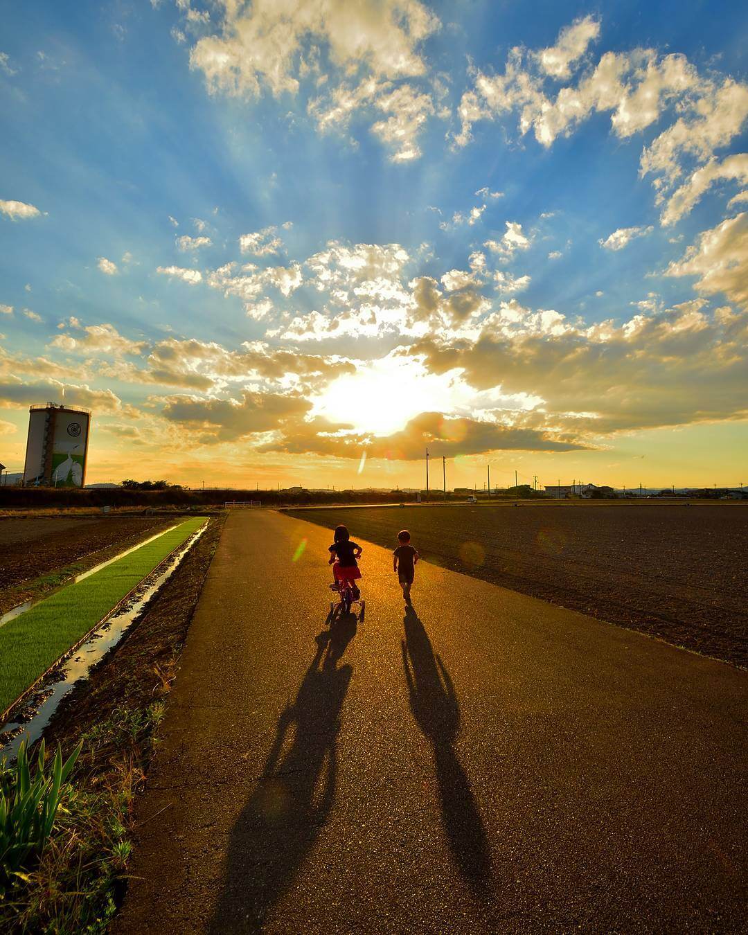 夕阳、晚霞与姐弟俩