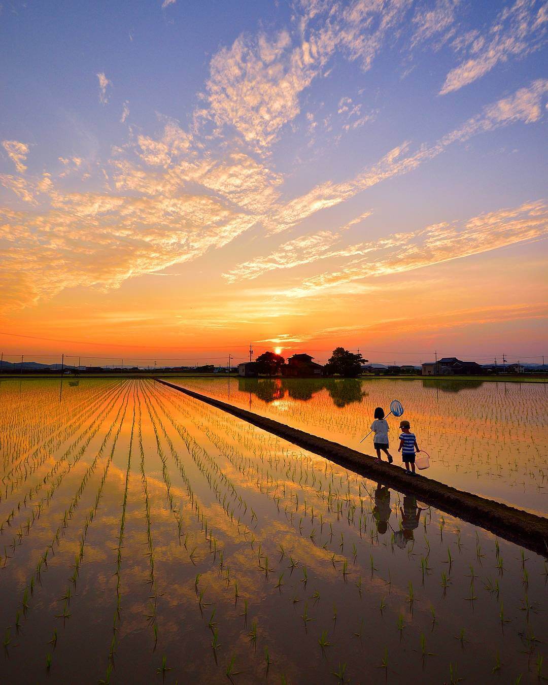 夕阳、晚霞与姐弟俩