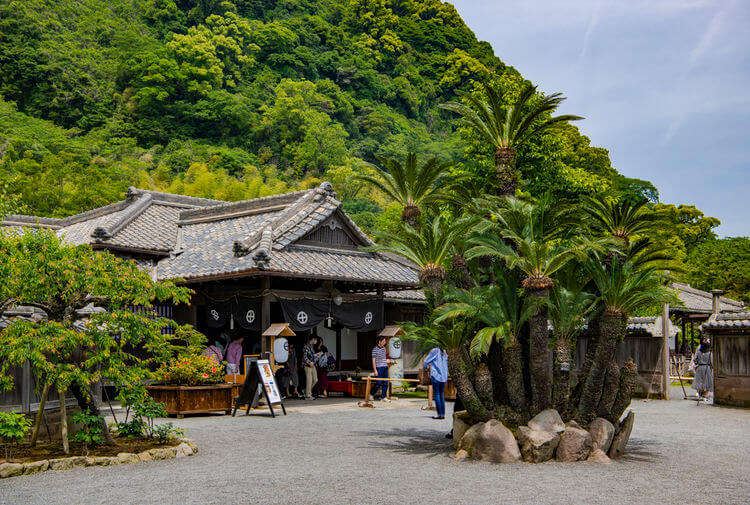 游走在九州 活火山下的鹿儿岛