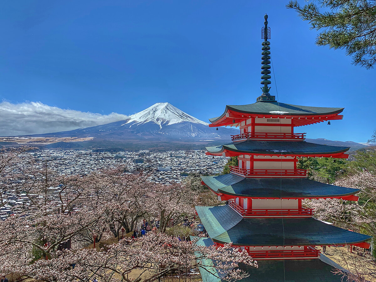 外国游客发掘的日本景点