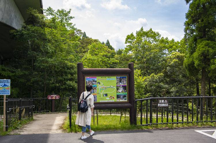 游走在九州 雾岛神宫