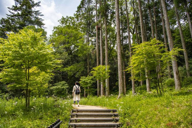 游走在九州 雾岛神宫