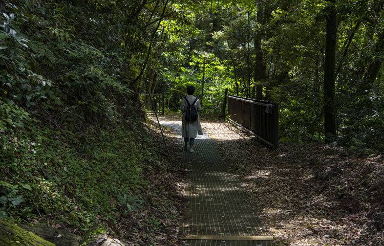 游走在九州 雾岛神宫