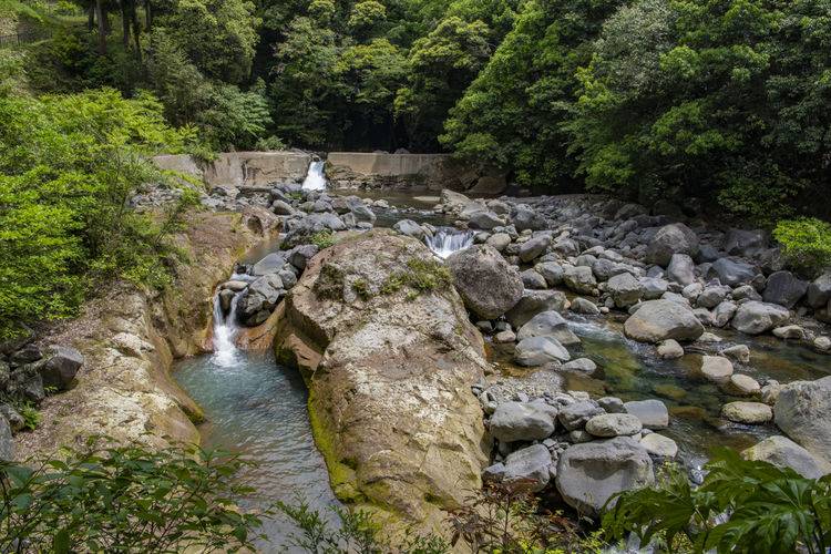 游走在九州 雾岛神宫