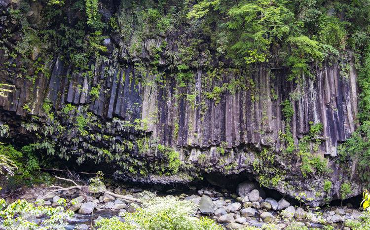 游走在九州 雾岛神宫