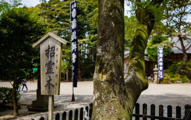 游走在九州 雾岛神宫