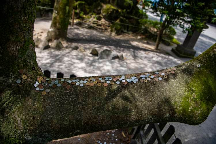 游走在九州 雾岛神宫