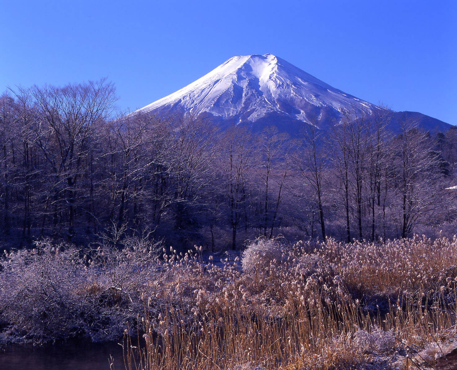 千姿百态富士山