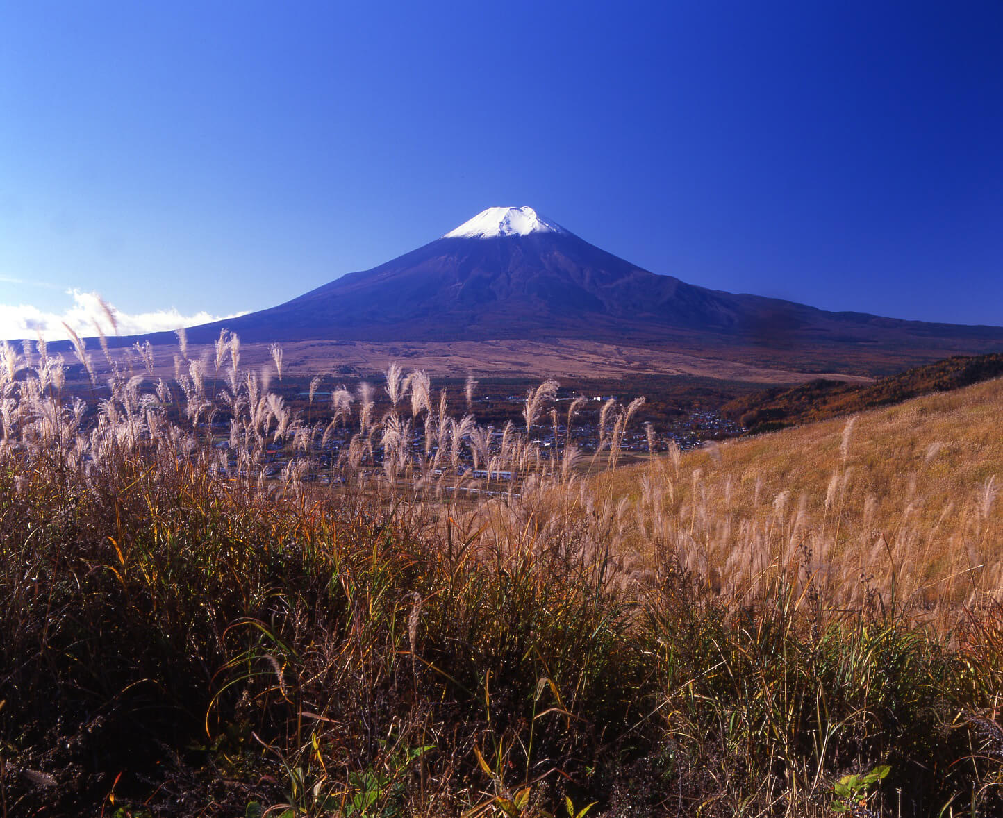 千姿百态富士山