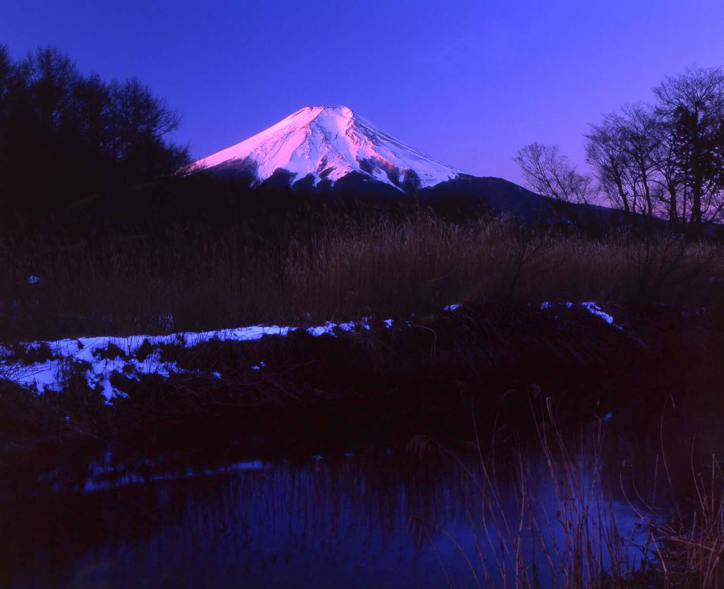 千姿百态富士山