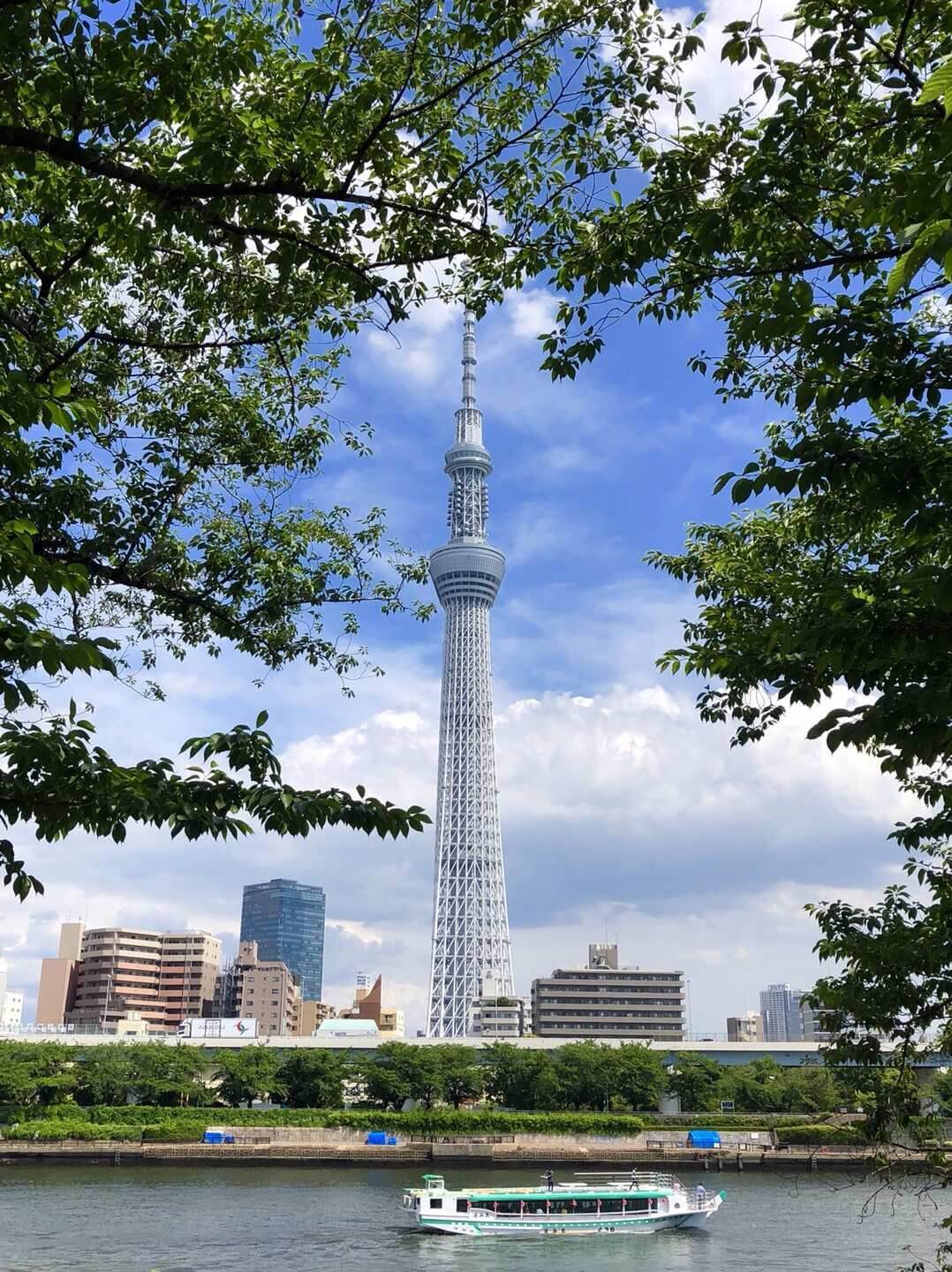 东京都都厅(照片:客观日本编辑部)