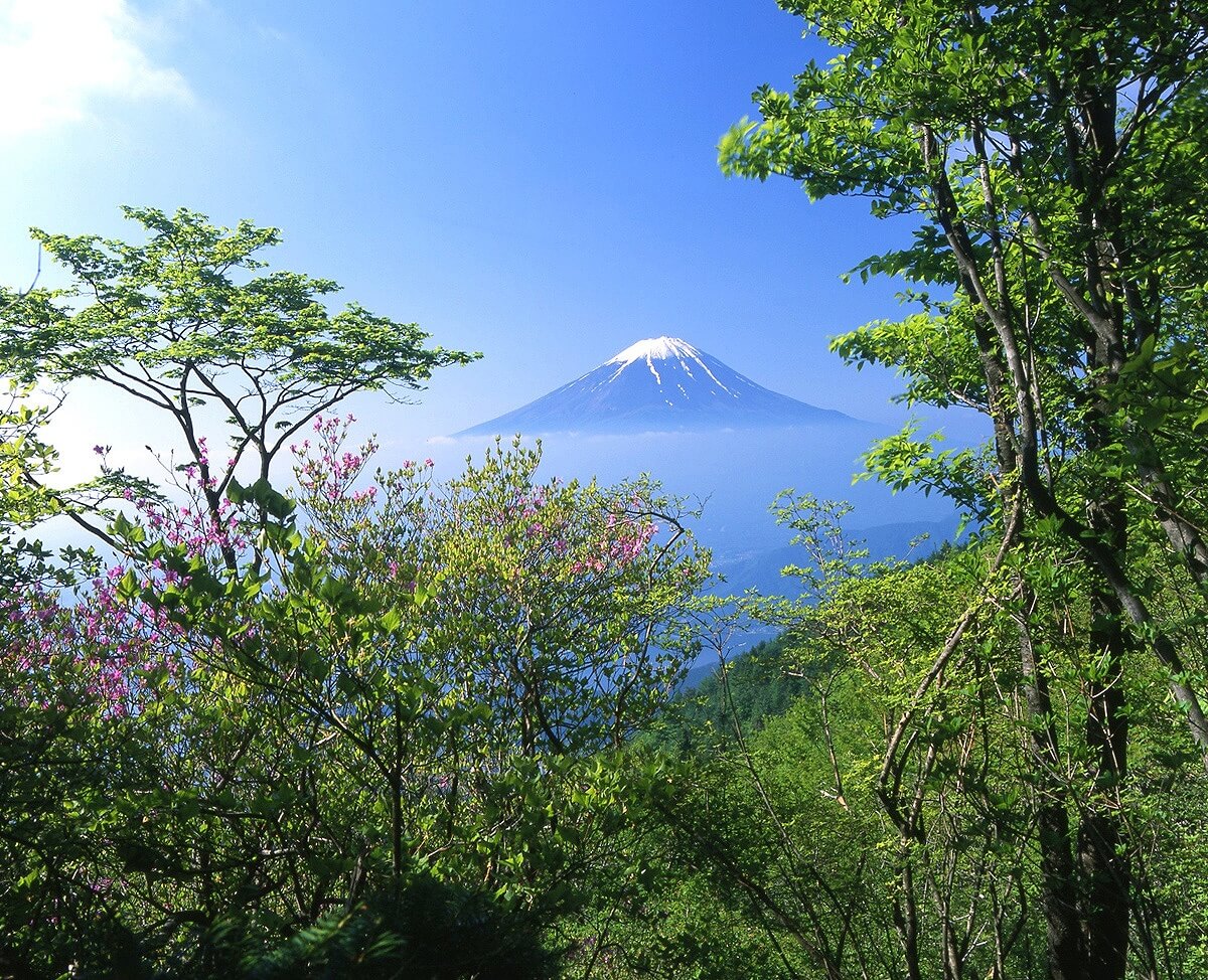 千姿百态富士山