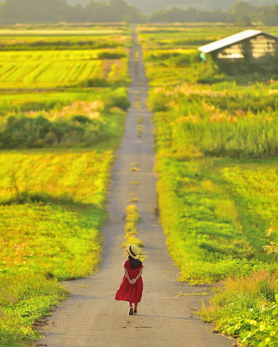 日本的秋天