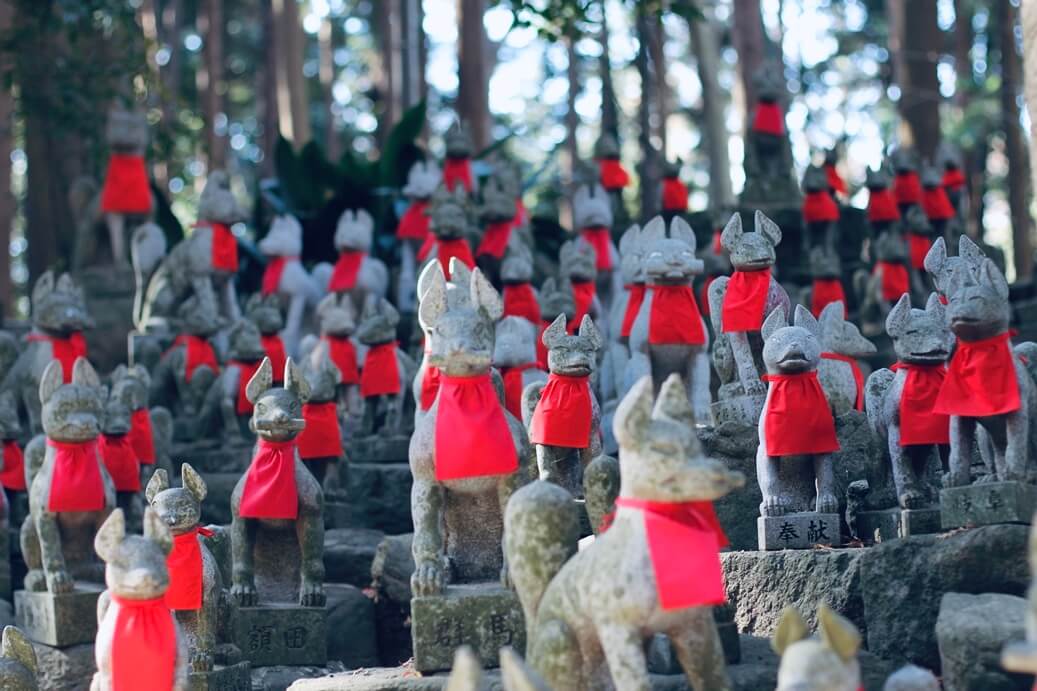 灵兽密码，日本稻荷神社里的狐信使