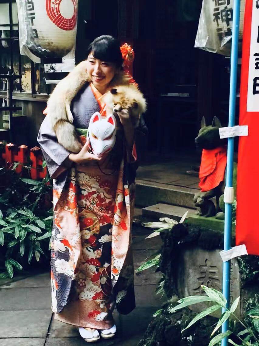 灵兽密码,日本稻荷神社里的狐信使