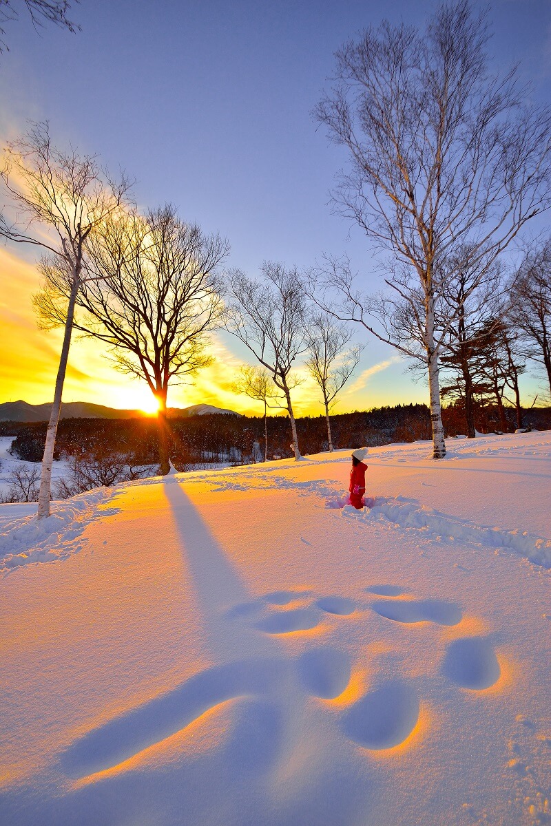 孩子与雪