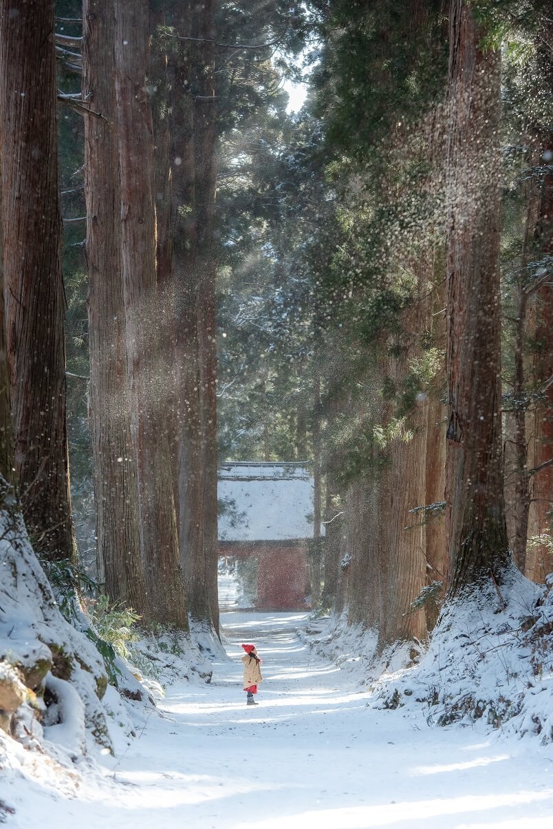 孩子与雪