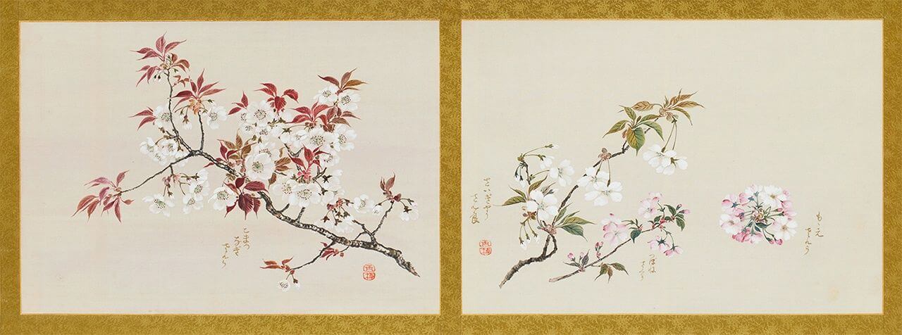 樱花与名画演绎的视觉盛宴:美术馆的春天
