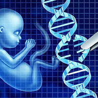 日本文部科学省等汇总报告书：建议立法管控“基因组编辑婴儿”，对受精胚胎的子宫移植制定罚则