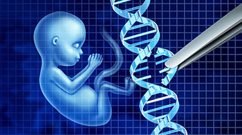 日本文部科学省等汇总报告书：建议立法管控“基因组编辑婴儿”，对受精胚胎的子宫移植制定罚则